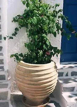 Nauma Paros Design Boutique Hotel 4*